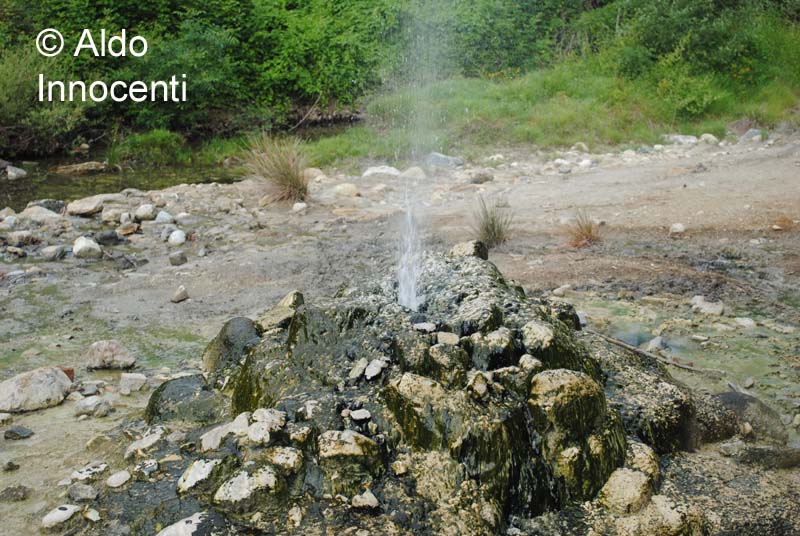 SORGENTE I BOLLORI: SORGENTE 6' IMMAGINE